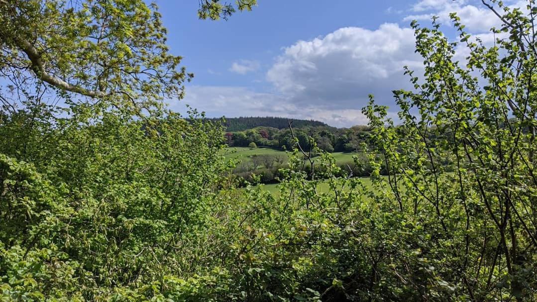 No2 Glan Nodwydd Holiday home